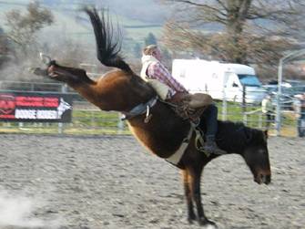 rodeo